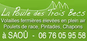 Copie de 13.poule.tif