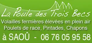 Copie de 13.poule.tif