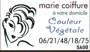 Copie de 2.marie Coiffure.png