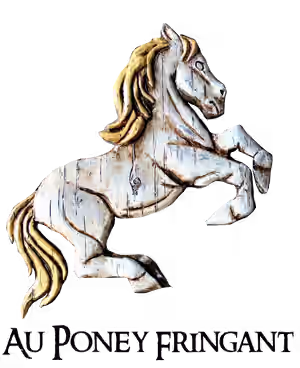 Copie de 8.PoneyFringantLogo transparent noir.png